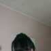 Smartass's profile picture