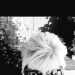 Julie's profile picture