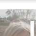 Nicola's profile picture
