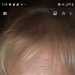 Gerri's profile picture