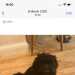 Lizzie's profile picture