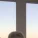 Sandra's profile picture