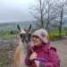 Frieda's profile picture