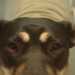 blueshady's profile picture