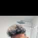 Ryanlil's profile picture