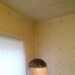 Thomas's profile picture