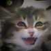 CooperMc113's profile picture